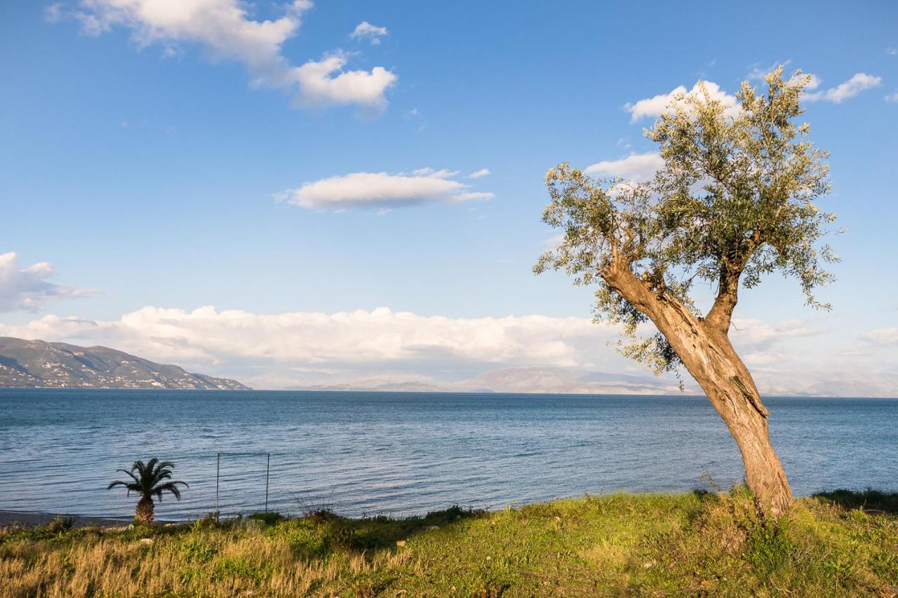 Merlyn Rooms Into The Nature, 100M From The Beach Dafnila Exteriör bild